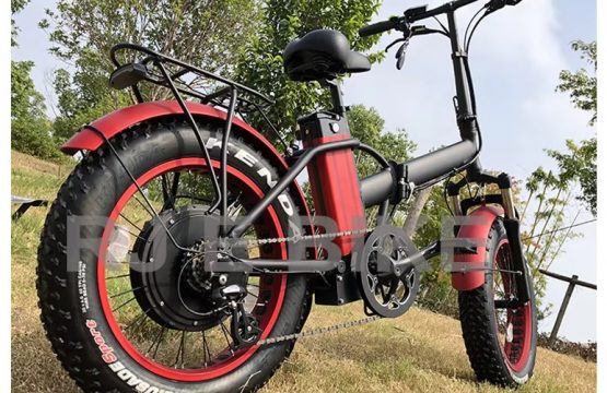 1000 watt ebike 20 inches _1 2