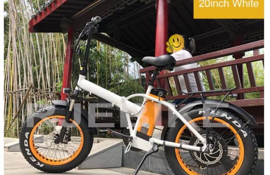 1000 watt ebike 20 inches _1 3
