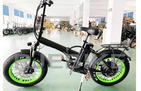 1000 watt ebike 20 inches _1