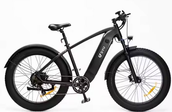 DYV KING750MTB _00 1