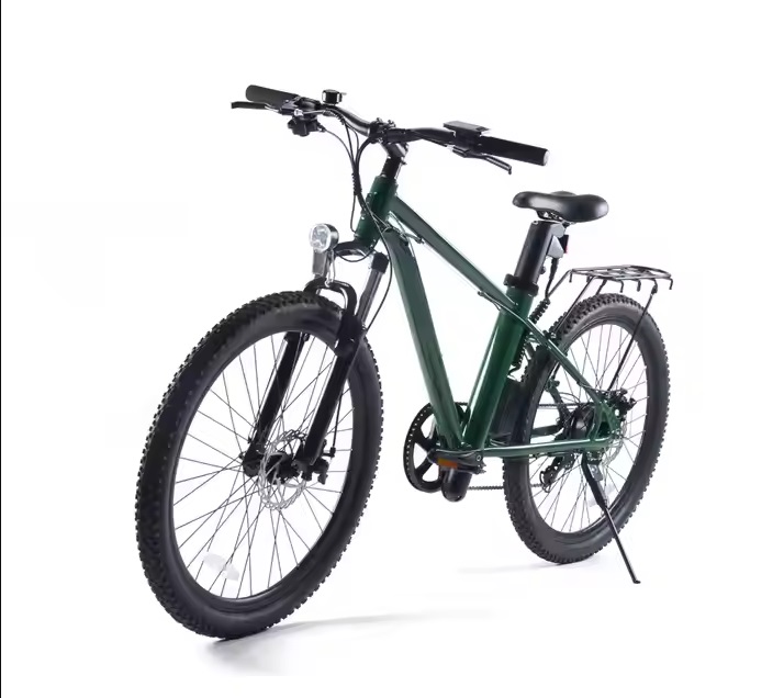 Ebike green power _3 Ebike green power _3