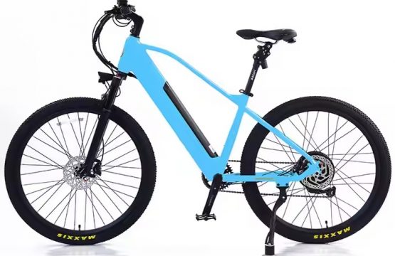Electric bike AVERIL-MTB _2