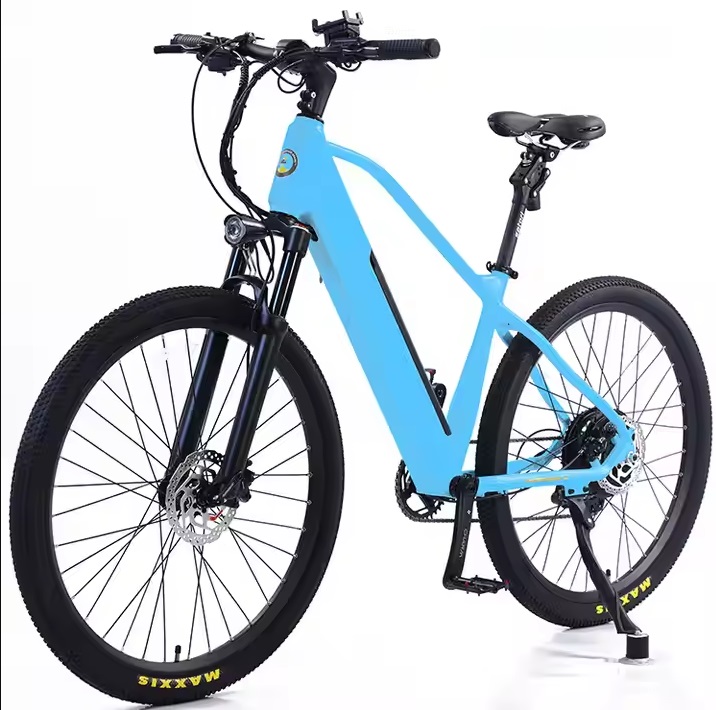 Electric bike AVERIL-MTB _2.a Electric bike AVERIL-MTB _2.a