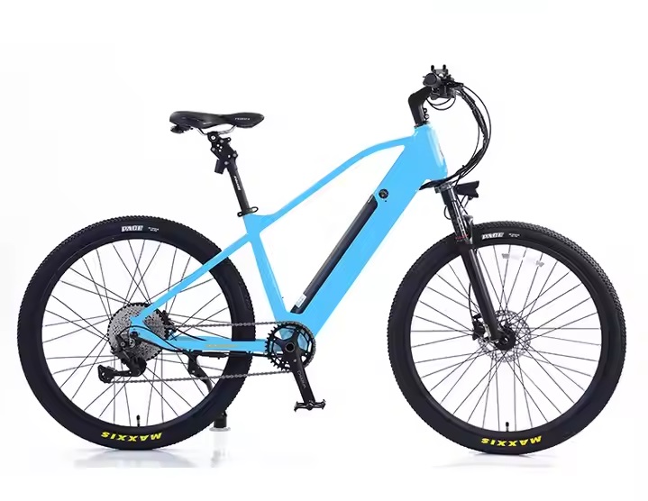 Electric bike AVERIL-MTB _2.b Electric bike AVERIL-MTB _2.b