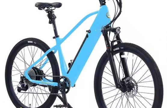 Electric bike AVERIL-MTB _2.c