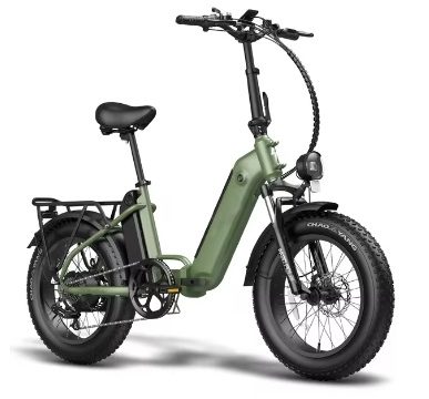 e bike _Two Battery 2