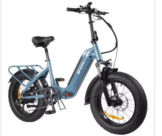 0 DYV FF500 1 0 0 DYV FF500 1 0