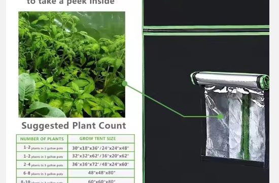 0 Greenhouse _0 SINOWELL Indoor Hydroponic c