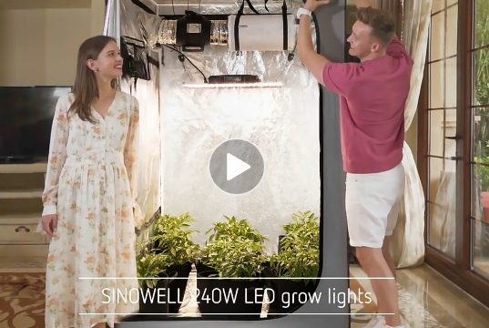 0 Greenhouse _0 SINOWELL Tent 1680D a