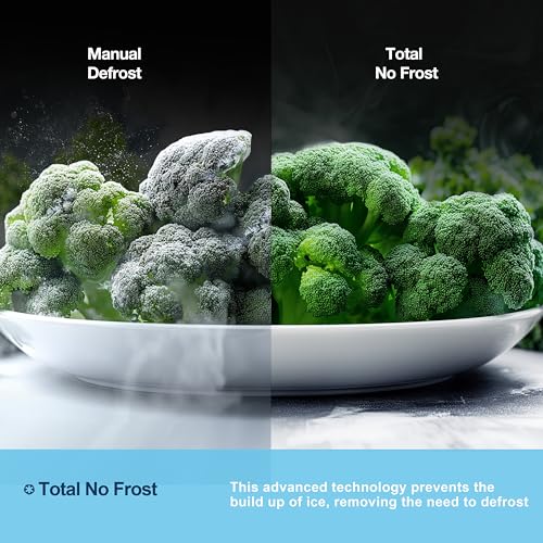 51gz97Iz9sL 51gz97Iz9sL