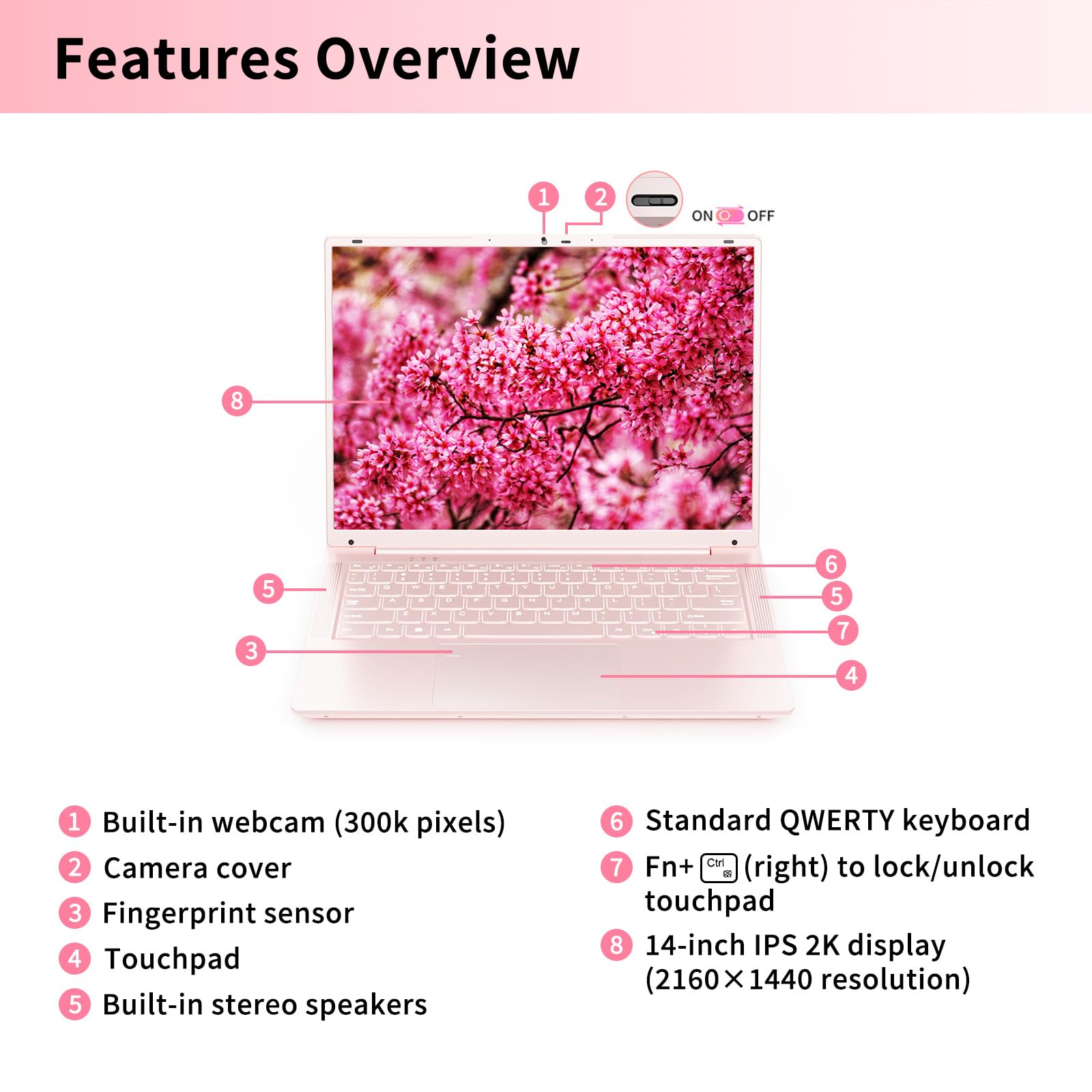 71lNd9er8ML 71lNd9er8ML