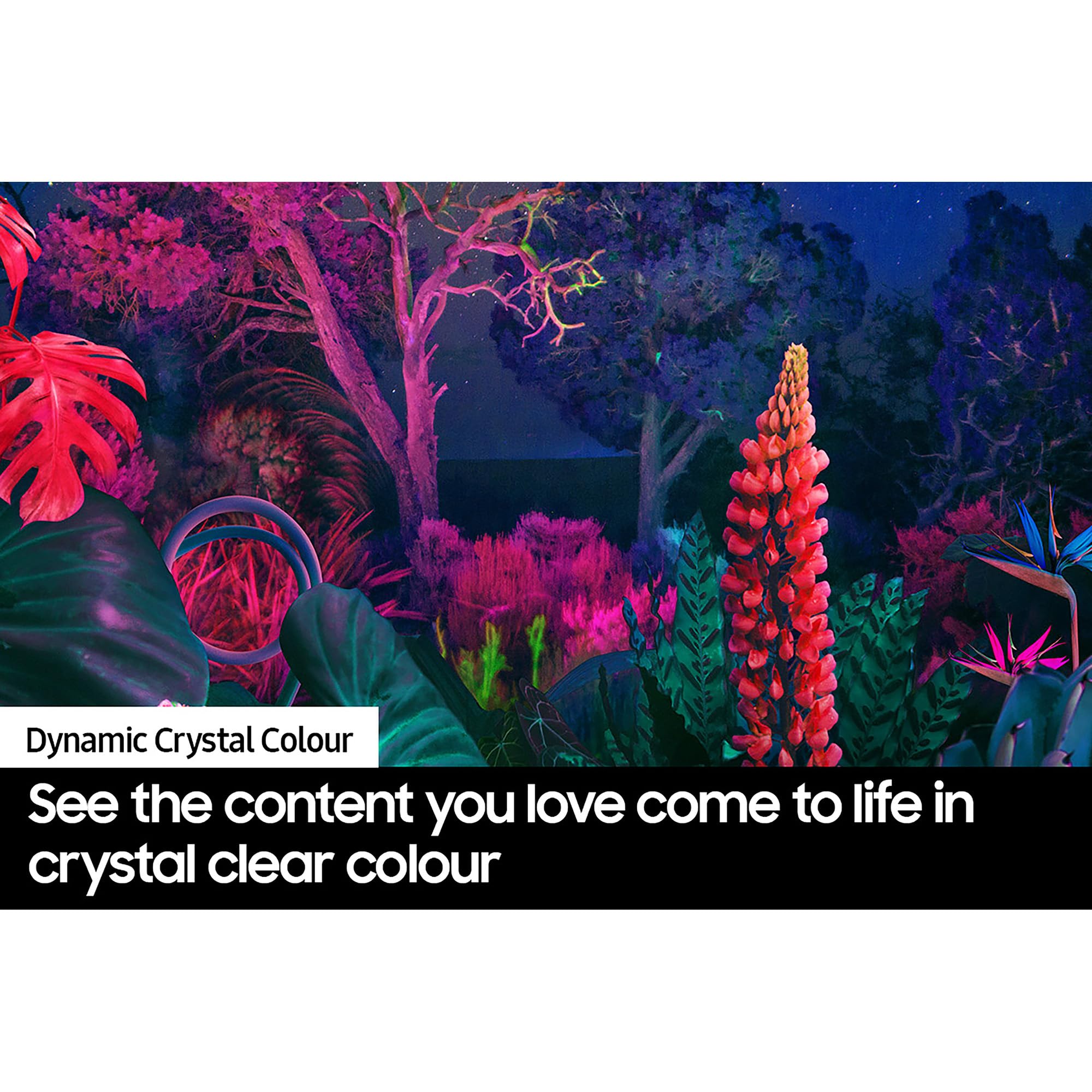 81h+7r9NNnL 81h+7r9NNnL