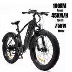 DYV KING 750 MTB New Aluminum alloy 26" 48V 750W 20Ah Retro Mountain Ebike Road Dirt Fat Tire E Bike Fast Ebike full suspension